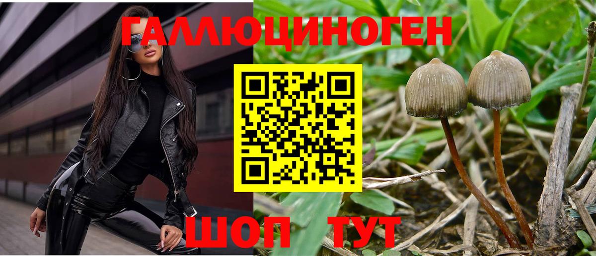Псилоцибиновые грибы прущие грибы Гай